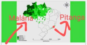 Leia mais sobre o artigo Tem Pitanga na Mata Atlântica. E Malária também?