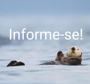 Leia mais sobre o artigo Anota aí….